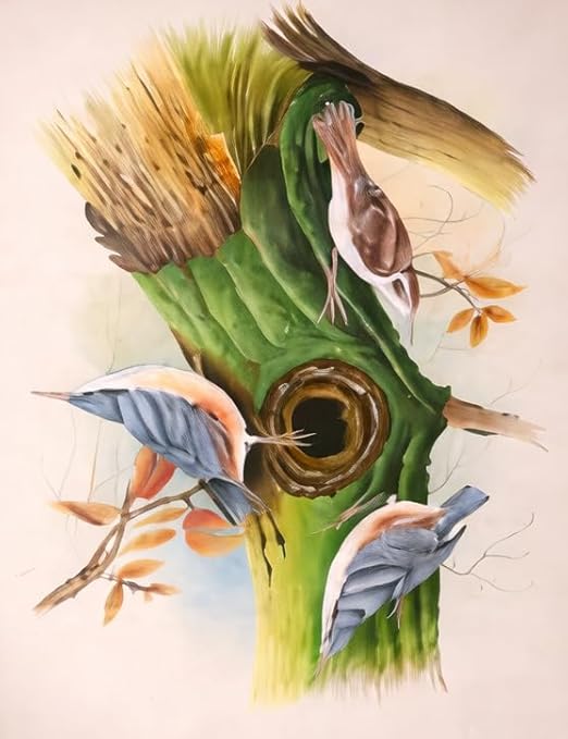 ALLY CRAFTS Handcrafted Bird Painting Wall Art with Wooden Frame | Nature Inspired Tree and Bird Artwork for Living Room Bedroom Home Decor