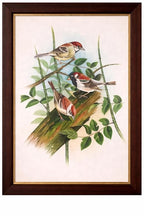 ALLY CRAFTS Handcrafted Bird Painting Wall Art with Wooden Frame | Nature Inspired Bird Artwork for Living Room Bedroom Home Decor