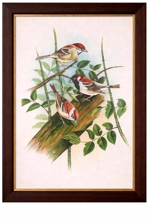 ALLY CRAFTS Handcrafted Bird Painting Wall Art with Wooden Frame | Nature Inspired Bird Artwork for Living Room Bedroom Home Decor